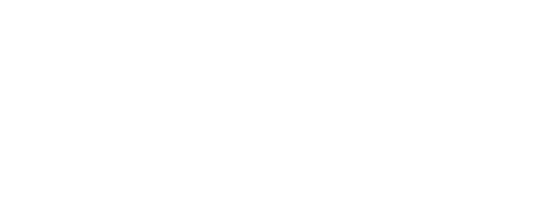 אפי קפיטל